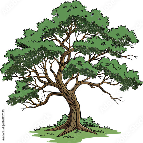 tree with green leaves