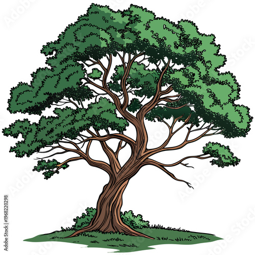 green tree vector