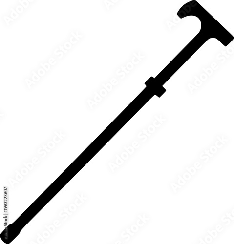 A Walking Stick's Solitary Journey