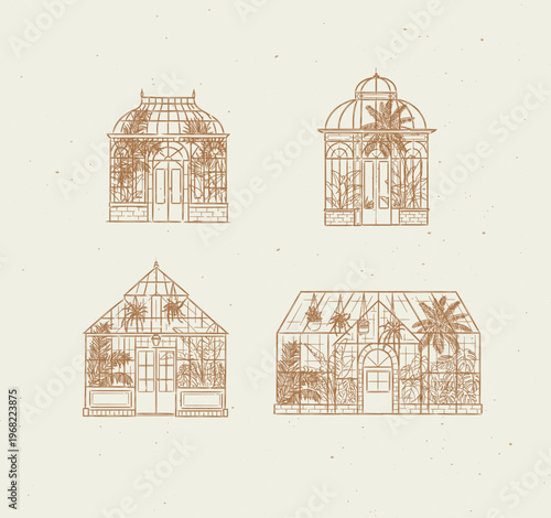 Greenhouse interior illustrations with potted and hanging plants drawing in line art graphic style with beige color on light background