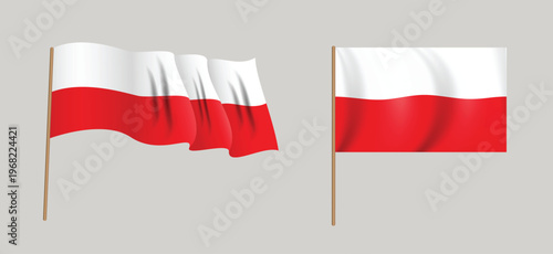 colorful naturalistic waving flag of Poland. Vector Illustration