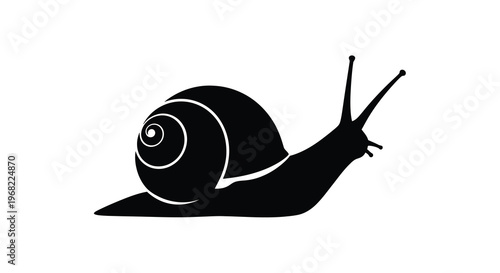 A striking black snail illustration with a minimalist silhouette