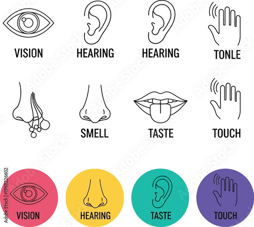 Five senses icon set vector graphic illustration for education