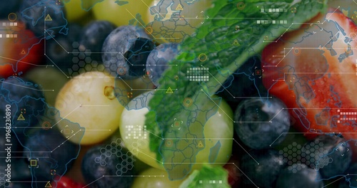 Showing blueberries, currants and strawberry tip with mint sprig and water drops in studio HUD