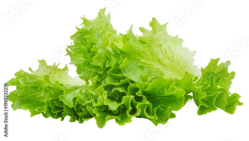 Konstfotografi Vibrant green leafy lettuce bunch showcasing ruffled edges and fresh texture, is