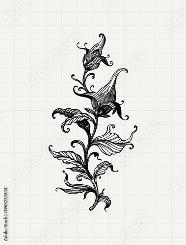 Dark Botanical Ornamental Vine Vintage Engraving Illustration