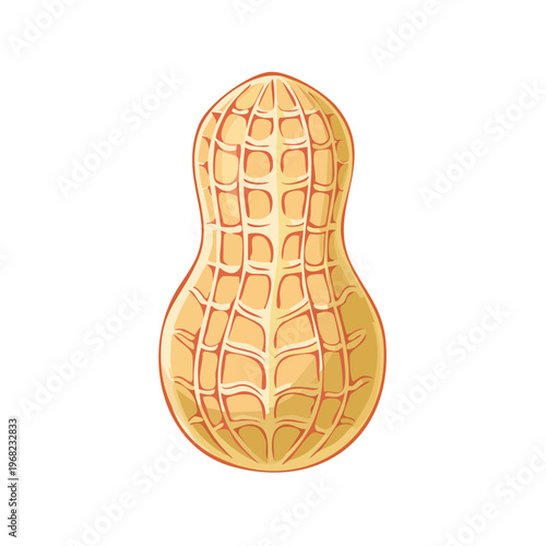 Illustration of a whole peanut in its shell with detailed texture and coloring