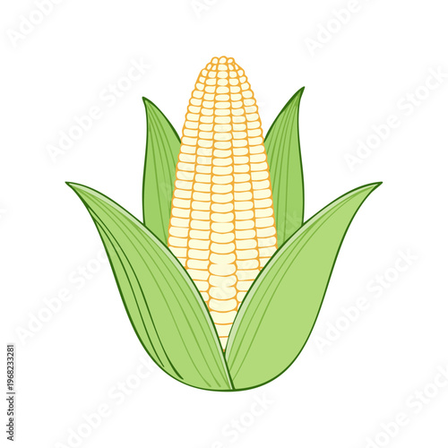 Fresh ear of corn illustration with green husks and yellow kernels, a simple flat graphic.