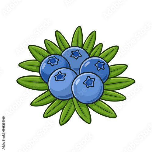 Freshly Picked Cluster of Ripe Blueberries Surrounded by Green Leaves Illustration