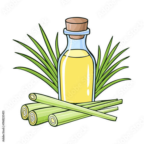Essential oil bottle with lemongrass stalks and leaves illustration