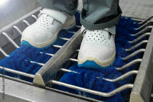Automatic footwear disinfection station in a food processing plant
