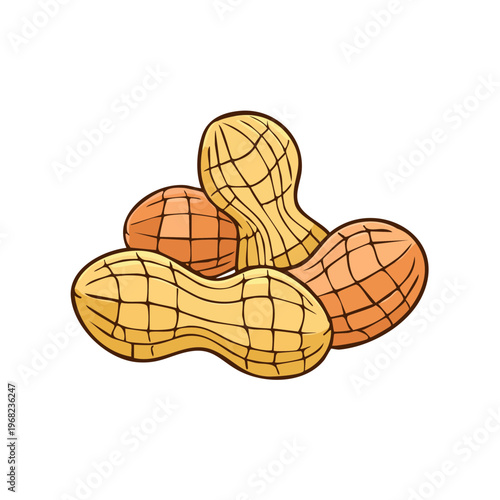 Hand drawn illustration of roasted peanuts in shell, natural food snack
