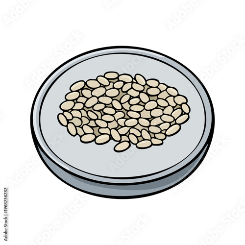 Small white beans arranged in a simple dish, a healthy food illustration