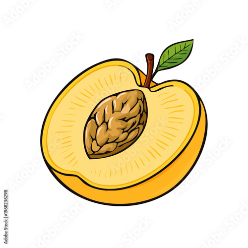 Hand drawn illustration of a ripe peach cut in half revealing its inner seed and vibrant flesh