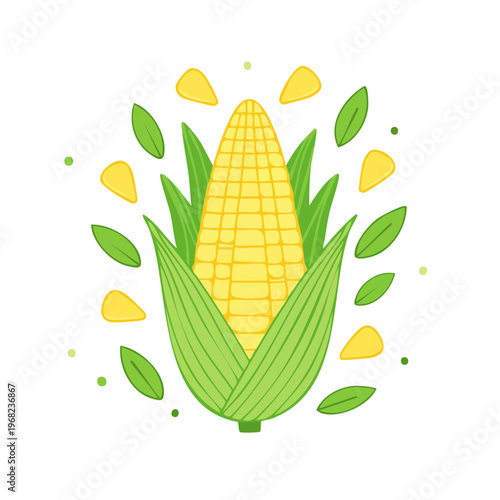 Vibrant yellow corn cob with green husks and leaves isolated on white