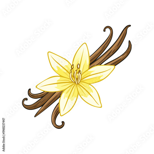 Fragrant Vanilla Flower and Pods Delicious Flavor Ingredient