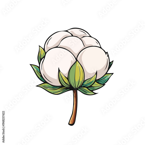 Stylized illustration of a fluffy white cotton boll with green leaves and a brown stem