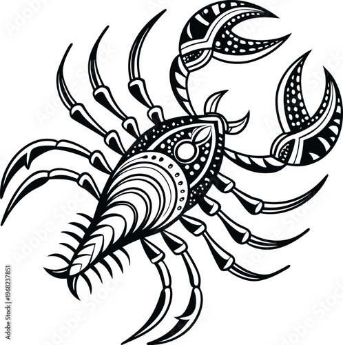 Spider illustration on white background