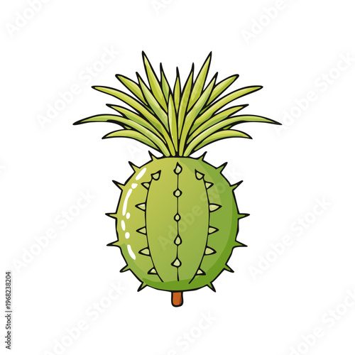 Illustration of a spiky green fruit with spiky green leaves on top