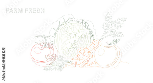 Minimalist Line Art Illustration of Assorted Farm-Fresh Vegetables Like Cabbage, Tomatoes, and Carrots, Symbolizing Healthy Organic Produce and Wholesome Eating