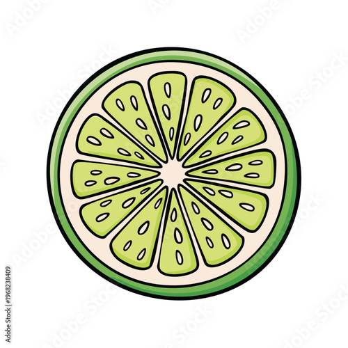 Hand-drawn illustration of a vibrant lime slice with segmented segments and seeds, isolated on white.