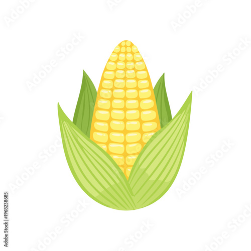Fresh yellow corn cob with green husks in a cartoon illustration style