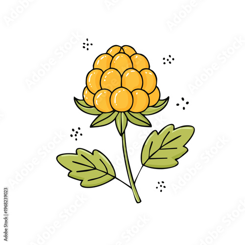 Hand drawn cartoon cloudberry fruit with leaves and small decorative dots on a white background