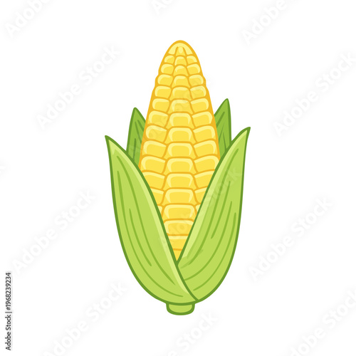 Bright Yellow Corn Ear with Green Husk Leaves Illustration
