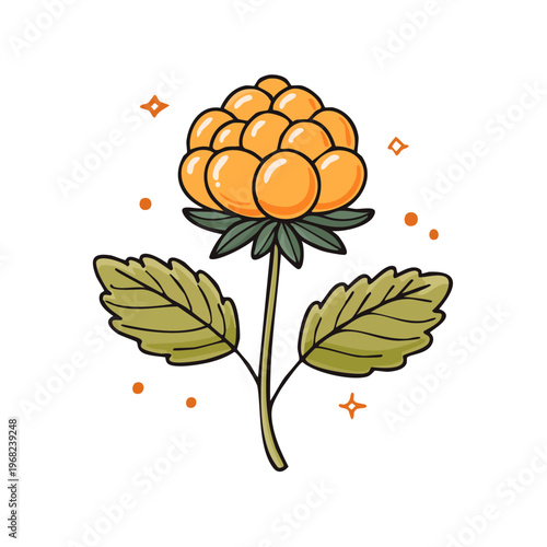 Hand-drawn Cloudberry Plant with Orange Berries and Green Leaves