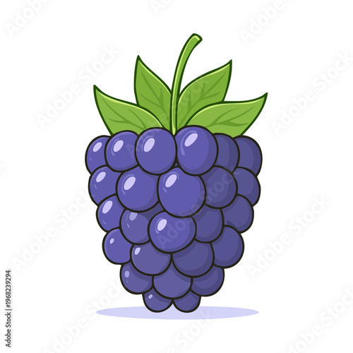 Sweet Cartoon Blackberry with Green Leaves and Stem Healthy Fruit Illustration