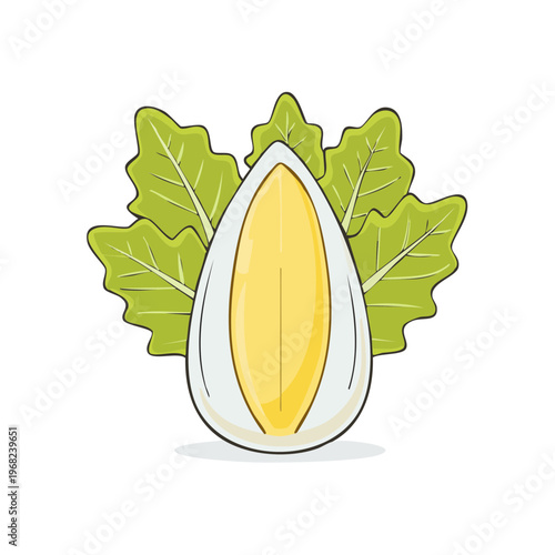 Half Boiled Egg with Green Lettuce Leaves Vector Illustration