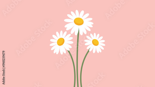 Three white daisy flowers with bright yellow centers on long green stems set against a soft pastel pink background for a gentle floral look.
