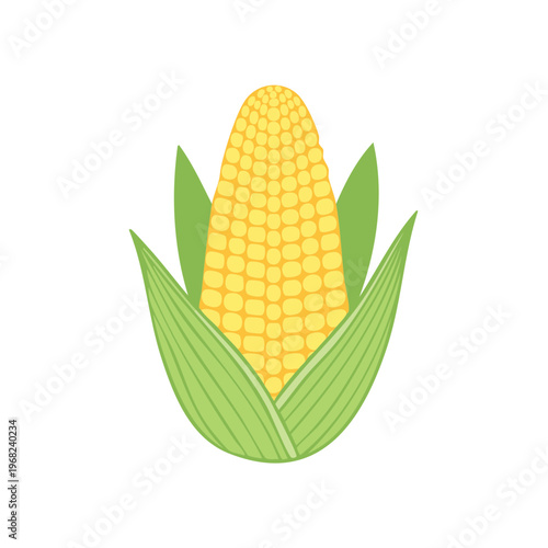 Fresh Corn Cob with Green Husks and Yellow Kernels