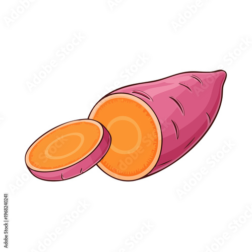 A vibrant illustration of a sweet potato with a slice cut off revealing its orange flesh and texture.