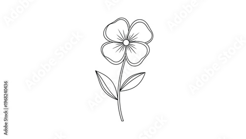 Delicate black and white line art of a flower with four petals on a stem with two pointed leaves suitable for a coloring book.