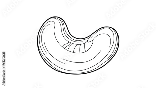 Cashew nut outline illustration for coloring book isolated on white background with simple black and white line art.
