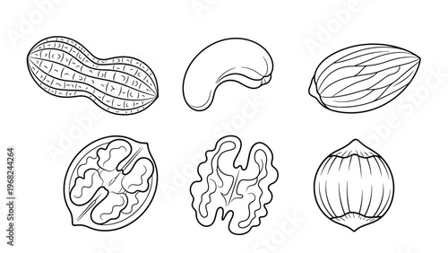 Selection of various nuts line art illustration including peanut cashew almond walnut and hazelnut for coloring.