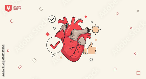 Healthy Heart Symbol with Checkmark and Thumbs Up Icon on Light Background