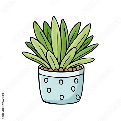 Hand drawn illustration of a small green succulent plant in a polka dot pot