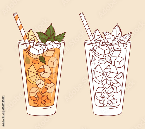 Sea Buckthorn Lemonade with Ice Cubes and Mint in Highball Glass Set. Fresh Orange Berry Drink with Citrus, Cocktail Straw. Isolated Color and Outline Line drawing, coloring page. Vector Illustration