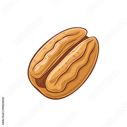 Delicious Pecan Nut Halves Healthy Snack Ingredient Food Illustration