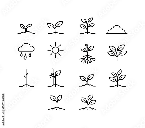 Compostable Mushroom-Based Product Innovations. Minimalistic set one-line drawing [mushroom packaging shell, electronics protective insert, biodegradable