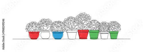 Colorful Pots. Minimalistic one-line drawing flowering plants in vibrant pots arranged neatly, continuous single black line on white background, simple outline