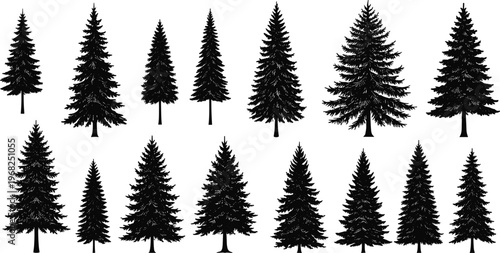 PrintEvergreen tree silhouette vector set, conifer forest shapes for nature design, winter landscape, ecology, illustration, and botanical reference