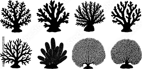 Collection Of Black Silhouette Coral Shapes White Background ocean nature