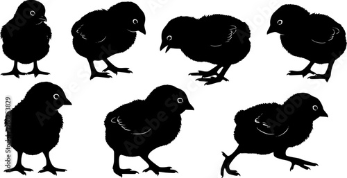 Cute baby chicks' silhouettes collection farm animals.
