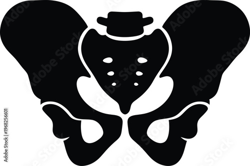 Silhouette human pelvis bone anatomy medical skeletal system vector illustration