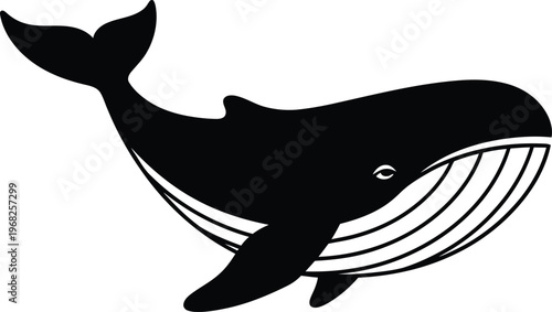 Silhouette majestic whale swimming ocean marine life vector illustration