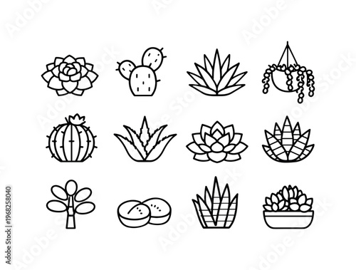 Succulent Variety. Line icon set of Succulent Variety: rosette succulent, cactus pad, spiky succulent, hanging succulent, barrel cactus, aloe plant, echeveria,