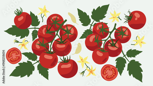 Ripe red tomatoes growing on green vines with yellow flowers and lush green leaves on a light grey background.